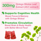 2 Pack Ginkgo Biloba Gummies with Panax Ginseng and Magnesium, Ginkgo Biloba Supplements for Focus, Memory, and Brain Health for Adults & Kids, Vegan Raspberry Flavor Gummies, 120 Count
