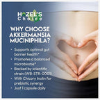 HAZEL'S Choice akkermansia probiotic – 30 Capsule Bottle – Vegan - Non-GMO - No Refrigeration Needed - No Preservatives – probiotico akkermansia – Gut-Friendly Daily Routine