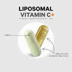 Codeage Liposomal Vitamin C 1500mg with Zinc, Elderberry, Citrus Bioflavonoids Grapefruit, Lemon, Orange Powder, Quercetin & Rose Hips Fruit – Vegan Supplement - Non-GMO, Vegan Pills, 180 Capsules