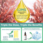 Astaxanthin Supplement 12mg Liquid Drops, Premium Natural Astaxanthin Antioxidant from Fresh Microalgae Source w. Mct Oi for Eye Immune Joint Skin Health, Liquid Formula for Max Absorption