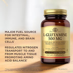 Solgar L-Glutamine 500 mg - 100 Vegetable Capsules - Natural Muscle Food - Non-GMO, Vegan, Gluten Free, Dairy Free, Kosher - 33 Servings