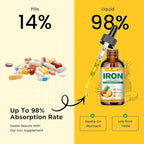 Liquid Iron Supplement for Women Men & Kids Multivitamin Iron Drops with Folate, Vitamin C, B6, B12, Zinc for Anemia, Iron Deficiency, Blood Builder, Energy - Natural Pineapple Flavor, Vegan 4 Fl Oz