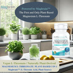 Kappa Nutrition Powered by Magbrain™ Magnesium L-Threonate Plant-Based, 90 Vegan Capsules, 420mg Elemental Magnesium (3 Capsules) from 2,253mg, Brain, Sleep & Muscle Support.