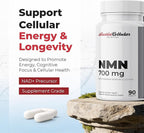 Austinootropics NMN Nicotinamide Mononucleotide 700 mg per Serving – NMN Capsules, 90 Capsules, Single Ingredient Formula, No Additives