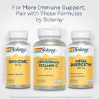 SOLARAY Liposomal Vitamin C 500mg - Enhanced Absorption Vitamin C Liposomal Blend with Fatty Acids - Antioxidant and Immune Support Supplement - Vegan, 60-Day Guarantee, 100 Servings, 100 VegCaps