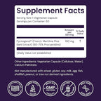 Healthy Origins Pycnogenol 100 mg (Nature's Super Antioxidant, Non-GMO, Gluten Free, Cardiovascular Support), 60 Veggie Caps