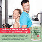 Liposomal Berberine HCL - Berberine 1500mg Activates AMPK, High Bioavailability Berberines Supplement for Women and Men, Supports Body Balance