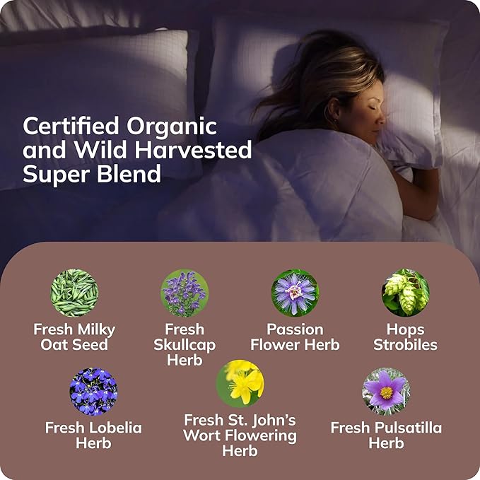 Grama Wellness Zzzzz Organic Sleep Aid Tincture – Non Habit Forming Nighttime Drops for Adults, Fast-Acting Liquid Sleep Aid for Deep Rest, Calm & Relaxation – Alcohol-Free, 1 fl oz