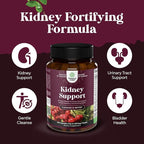 Advanced Kidney Support Supplement - Kidney Cleanse Detox & Repair Cranberry Extract Capsules with Uva Ursi, Stinging Nettle & Astragalus for Kidney health - Urinary Tract Health - 120 Count