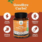 Natural White Kidney Bean Extract - White Kidney Bean Energy Booster AMPK Activator and Antioxidant Capsules - Digestive Health Dietary Fiber Supplement and Workout Supplement for Men and Women