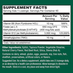 PlantFusion Vegan B12 Methyl 3000 mcg + Folate 400mcg - Sublingual Vitamins - Supports Energy, Heart Health, Nervous System - Cherry Flavor, 60 High Potency Lozenges for Fast Absorption