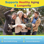 NMNH (NMN Supplement Alternative) NAD Supplements for Anti Aging, Energy, Immune, Focus (Dihydronicotinamide Mononucleotide) 500mg, to Boost NAD+ Levels As We Age, Pure Organic - 60 Capsules