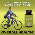 Viva Naturals Peruvian Maca Root Supplement for Women & Men, 500mg - Traditionally Used for Energy, Stamina & Endurance - 250 Yellow Maca Root Powder Capsules, Gelatinized for Easier Digestion