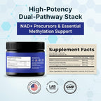VINATURA NMNH (NMN Supplement Alternative) Nicotinamide Riboside & TMG - NAD Supplement for Anti-Aging - 60 Capsules