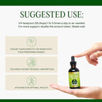 Go Nutrients Prostate Edge - Saw Palmetto & Pygeum Extract Supplement for Men’s Prostate Health & Relief - Organic Liquid Drops to Support Urinary Flow, Bladder Comfort & Vitality – 2oz
