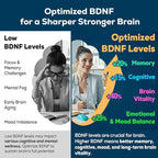Nootropic Brain Supplement for Memory and Focus – BDNF Optimizer – Cognitive, Mental Clarity & Mood – High Absorption – Organic Lion's Mane, L-Theanine, Ginkgo Biloba & Alpha GPC – 60 Tablets