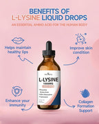 L-Lysine 1000mg Liquid Drops, L-Lysine Supplement for Essential Amino Acid Supplement for Lips & Oral Health & Collagen Formation Support, Natural Grape Seed Extract Drops-300 mg Grape Seed Extract L