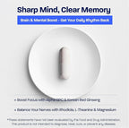 BONE SCIENCE Prime Brain – Memory & Focus Support Supplement with Alpha GPC, Phosphatidylserine & Ginkgo Biloba, Non-Stimulant Cognitive Health Formula for Adults & Teens, 60 Capsules