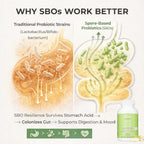 Lifted Naturals Spore Based Probiotic Probiotics - SBO Mood Boost - Spore/Soil-Based - Digestion & Natural Mood Support - Histamine-Free - 60 Day Supply, Non-GMO, Dairy-Free, Gluten-Free, Vegan