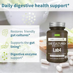Igennus Probiotics & Prebiotic, Lactobacillus Acidophilus & Bifidobacterium, Live Cultures+ Lab4, Guaranteed 25 Billion CFU, for Women & Men, Non-Bloating Gut Health Support, Non-GMO, 6 x 30 Capsules