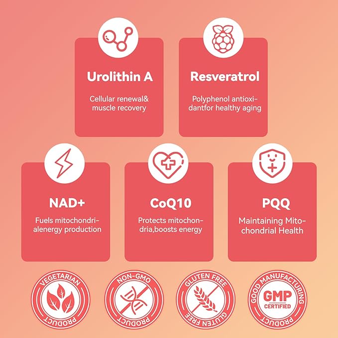Urolithin A Supplement Gummies,Urolithin A+ Supplement with NAD+, CoQ10, Resveratrol,PQQ for Mitochondrial Support, Muscle Strength & Longevity,Vegan,Sugar Free,Chewable 60ct