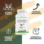 Huanarpo Macho Capsules 1000mg – 120 Vegan Capsules – Natural Energy, Stamina & Vitality Supplement – Supports Male Performance, Circulation & Hormone Wellness – Non-GMO, Gluten-Free, Vegan