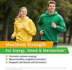 Innate Vitality Vitamin B12 5000mcg, Sublingual, Vegan Methylcobalamin, Fast Dissolve Tablets, Natural Pineapple Flavor, Supports Energy Production & Healthy Nervous System, 90 Tablets