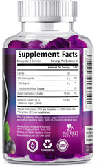 Elderberry Immune Support Gummies - Elderberry Extract Sambucus Nigra - Black Elder Berry Vitamin Supplement - Natural, Daily Immune Support Kids & Adults Love - Delicious Berry Flavor - 120 Gummies