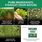 HANDPICK USDA Organic Moringa Powder (397g/14oz) Pure Moringa Oleifera Leaf Powder | Authentic Indian Origin | Gluten Free, Non-GMO | Perfect for Smoothies, Drinks, Tea & Recipes