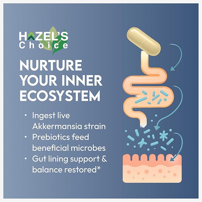 HAZEL'S Choice akkermansia probiotic – 30 Capsule Bottle – Vegan - Non-GMO - No Refrigeration Needed - No Preservatives – probiotico akkermansia – Gut-Friendly Daily Routine