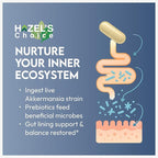 HAZEL'S Choice akkermansia probiotic – 30 Capsule Bottle – Vegan - Non-GMO - No Refrigeration Needed - No Preservatives – probiotico akkermansia – Gut-Friendly Daily Routine
