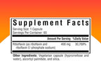 Seeking Health Riboflavin - Vitamin B2 Supplement for Methylation Support - Support Homocysteine Metabolism with Antioxidant Ingredients - 400 mg, 60 Capsules
