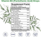 HoneyCombs Vitamin B5 Liquid Drops Pantothenic Acid 500% DV Liquid B5 Supplement Vegan Vitamin B Complex Liquid Fast Absorbing Vitamin Drops Daily Nutritional Support for Adults (16 Fl oz)