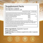 15-in-1 Liposomal NMN Supplement, 2000mg per* Serving*, 120 Day Supply, 99% Pure, NAD+ NMNH Alternative with Nicotinamide Mononucleotide, Resveratrol, TMG, CoQ10, Quercetin & Glutathione, 4 Bottles