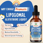 2000MG Liposomal Glutathione Liquid, 98% Absorption, Active Form L-Glutathione Supplement, Vegan Friendly, Powerful Antioxidant Complex for Immune System, Aging Defense, Detox, 2 FL.OZ