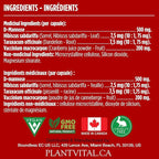 Plantvital Bundle Power Duo: Berberine 500mg-120 Capsules for Immunity & Cardio Health and D Mannose with Cranberry 1000mg-120 Capsules for Urinary Tract Support -Vegan, Non-GMO.