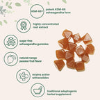 Micro Ingredients KSM-66 Ashwagandha Gummies, 120 Count | Sugar Free Mango Passion Fruit Flavor | Potent Root Extract | Stress, Relaxation, & Sleep Support* | Non-GMO