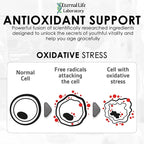 Longevity Blend #3 - Resveratrol 98% with Fisetin Pterostilbene Spermidine, Anti Aging, Oxidative Stress Reducer, Antioxidant Supplement, AMPK Activator