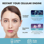 NAD+ Supplement, with Nicotinamide Riboside and Resveratrol, Supports Cell Health, Slows Aging, Helps Focus, and Promotes NAD+ Production - 60 Capsules