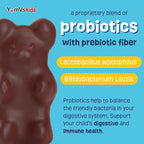 YUM-V'S Probiotics for Kids Chocolate Bears – Kids Probiotic Supplement with 1 Billion CFU – Prebiotic High Fiber Supplements for Digestive Support – Sugar-Free Melt-in-Mouth – 60 Count, Pack of 2