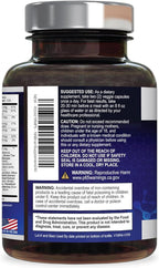Brain Memory Supplement Pills - 3X Strength Nootropics for Concentration, Clarity & Focus Support - Brain Health Cognitive Vitamins with Bacopa, Phosphatidylserine & DMAE, Brain Booster - 240 Capsules