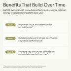 Seed AM-02 Energy + Focus - Daily Nootropic Supplement for Women & Men - Fast-Acting & Sustained Energy for Up to 6 Hours - Caffeine-Free Vegan & Shelf-Stable - 30 Capsules (30-Day Supply)