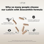 Lutein and Zeaxanthin Supplements - Advanced Eye Vitamins with Astaxanthin, Omega 3, Resveratrol, Bilberry, Lycopene, Quercetin, Ginkgo Biloba, Vitamin D | Health Vision | Made in USA