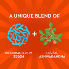 Align Probiotic, Gut Health + Stress Support, with Probiotics for Digestive Health and Ashwagandha to Help Calm Mind and Body*, #1 Doctor Recommended Brand‡, 21 Capsules (Pack of 2)