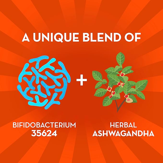 Align Probiotic, Gut Health + Stress Support, with Probiotics for Digestive Health and Ashwagandha to Help Calm Mind and Body*, #1 Doctor Recommended Brand‡, 21 Capsules (Pack of 2)