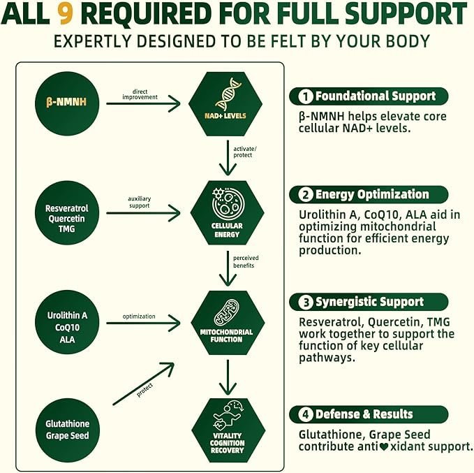 NMNH Supplement 2000mg, Liposomal Nicotinamide Mononucleotide Alternative for NAD+ and Healthy Aging - with Resveratrol, Urolithin A, TMG, CoQ10 - 120 Capsules (β-Dihydronicotinamide Mononucleotide)
