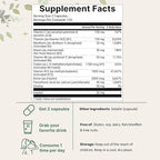 Micro Ingredients 2 Pack Pure Methylated B Complex, 480 Capsules | 11-in-1 Formula with B12, Thiamin, Folate, Inositol, Choline, & Vitamin C | Filler Free | Non-GMO