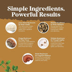 Bundle of Nootropic Memory Supplement with Vitamin B 12 Bacopa Monnieri Rhodiola Rosea DMAE Ginkgo Biloba and Advanced Lion's Mane Mushroom Supplement - Reishi Chaga Maitake Shiitake for Brain Support