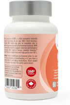 Arcwell NMN (Nicotinamide Mononucleotide) 250 mg per Capsule | NAD+ Boost Supplement | 99% Ultra Pure NMN | Supports Cellular Health & Energy Production (60 Veggie Caps)