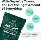 Organics Ocean Chill Buttons – Natural Ashwagandha Gummy Supplement with Organic KSM-66, Saffron & Rhodiola Rosea – Supports Relaxation, Mood, Focus & Energy - 3-Pack, 180 Count